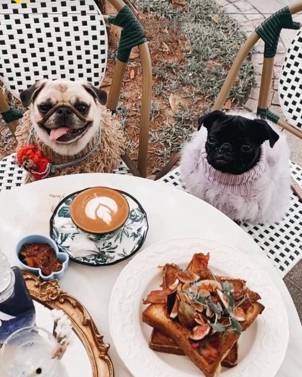 Le Jardin (instagram.com/lejardinsingapore)