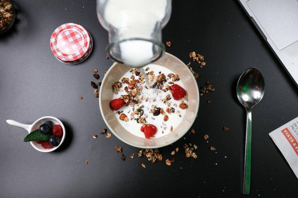 Ilustrasi yoghurt (pixabay.com/sanfirabogdan)