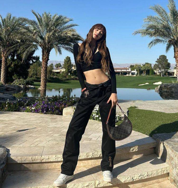 LISA (instagram.com/lalalalisa_m)