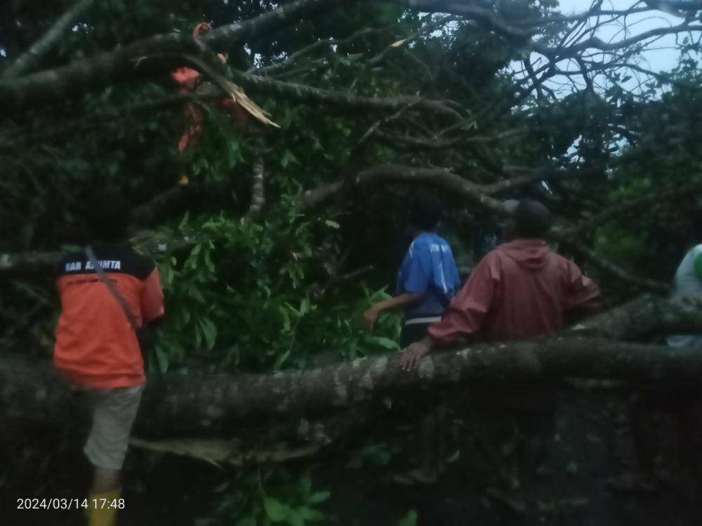 Dampak hujan lebat dan angin kencang di DIY, Kamis (14/3/2024). (Dok. Istimewa)