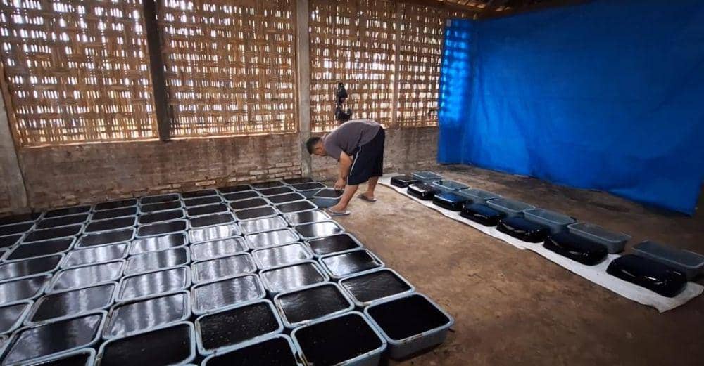 Perajin cincau hitam di desa/ kecamatan Panekan Magetan krrbajiran pesanan saat bulan Ramadan. IDN Times/ Riyanto