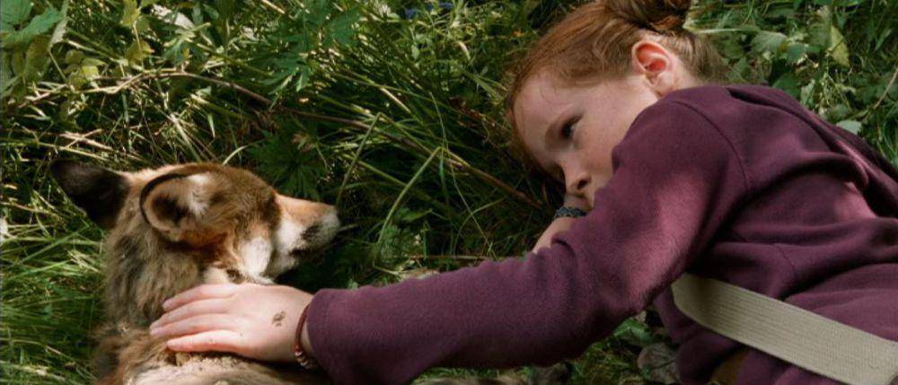 Scene di film The Fox And The Child.(dok.Buena Vista International/The Fox And The Child