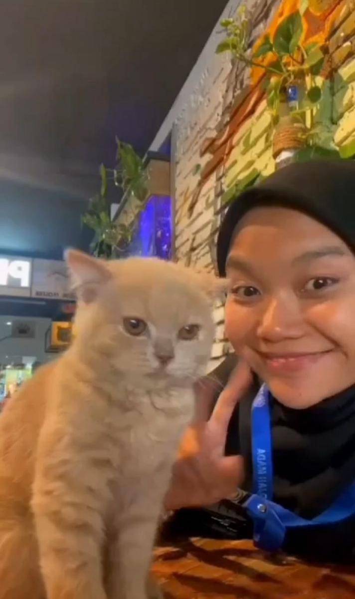 Pengunjung Black House Cafe, bermain dengan kucing sambil makan dan nongkrong. (dok. Istimewa)