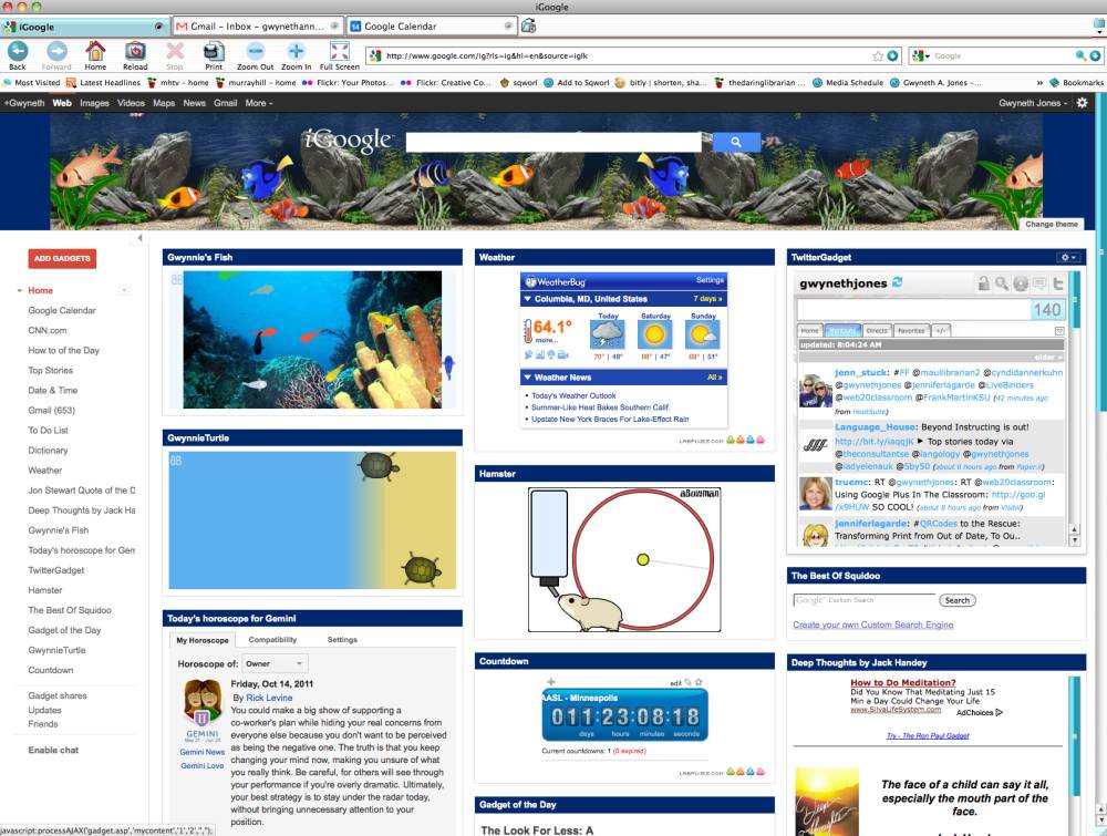 iGoogle (dok. Google)