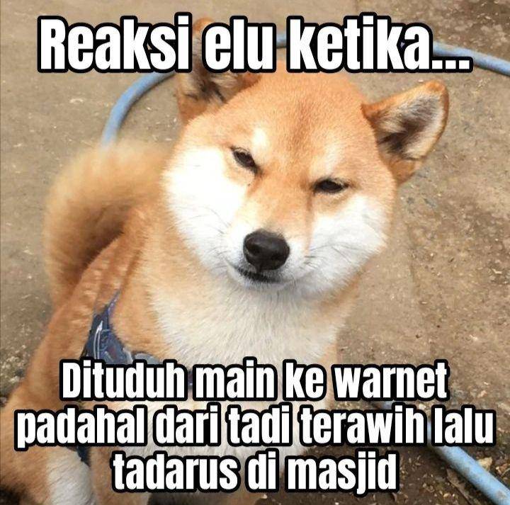 meme tahan emosi saat Ramadan (instagram.com/doge_samurai17)
