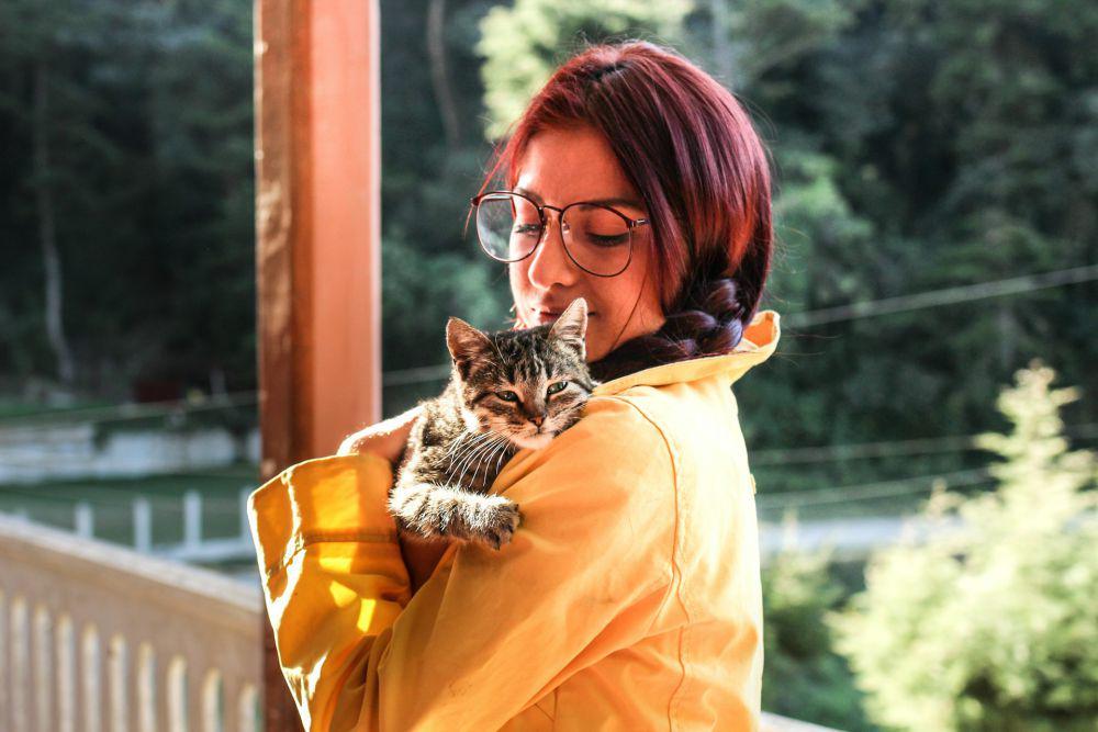 7 Alasan Kucing Suka Menggigit Hidung Pemiliknya, Rasa Sayang?