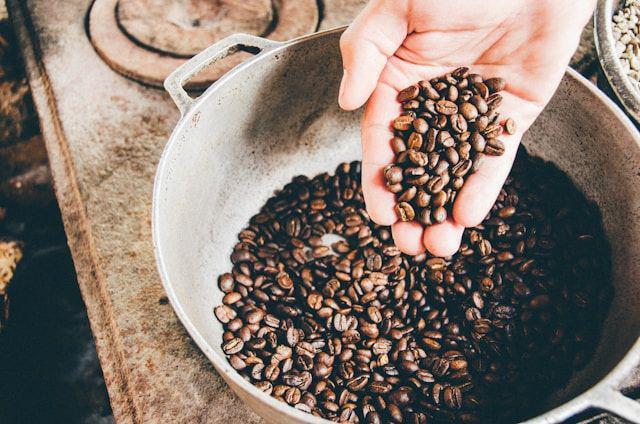 4 Keistimewaan Kopi Toraja, Kenikmatan Tak Ada Duanya
