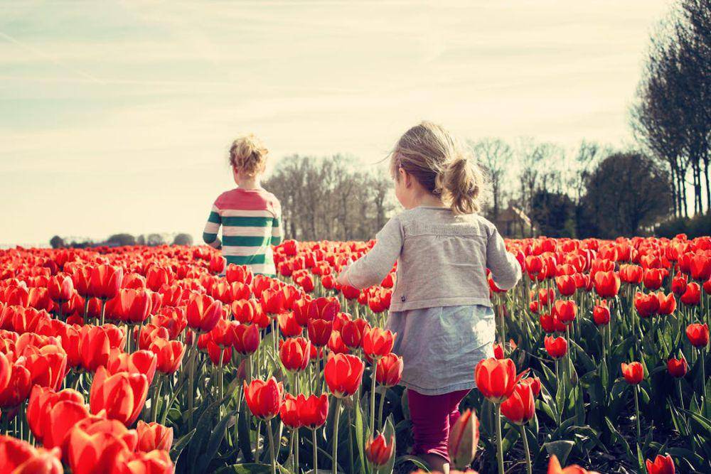 ilustrasi anak kecil di taman bunga (pexels.com/Pixabay)