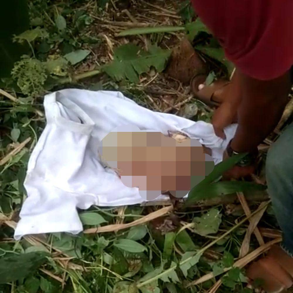 (Warga Lubuk Linggau saat temukan jasad bayi di dalam bekas sumur) IDN Times/istimewa