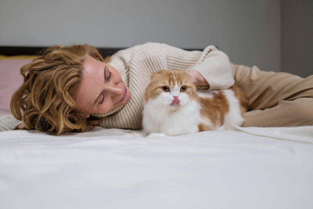 ilustrasi kucing dan pemiliknya (pexels.com/ cottonbro studio)
