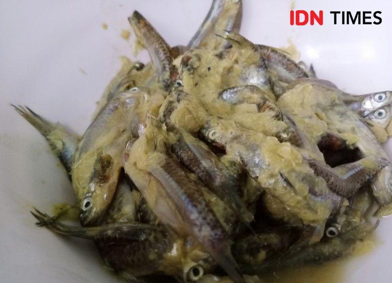 Fenomena 'Seluang Mudik' di Sungai Musi, Berkah Bagi Warga Muba