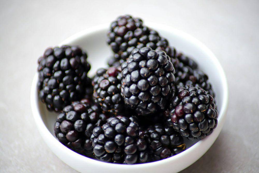 ilustrasi buah blackberry (unsplash.com/Yulia Khlebnikova)