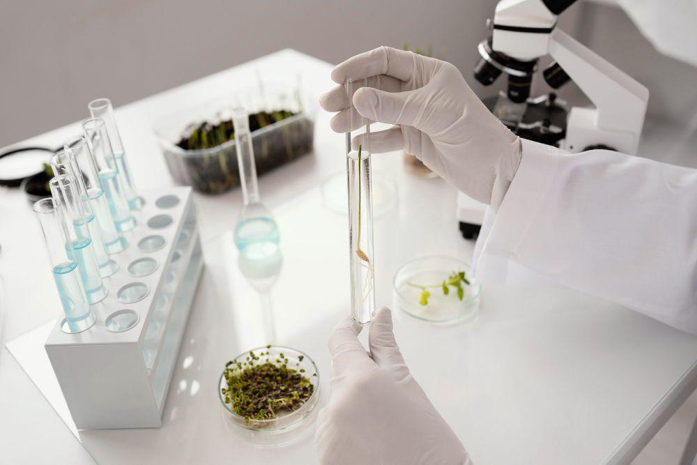 Apa itu Bioteknologi Konvensional? Ini Kelebihan, Kekurangan & Contoh