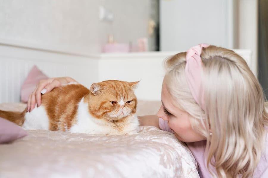 Cara Mengetahui Usia Kehamilan Kucing, Kenali Cirinya
