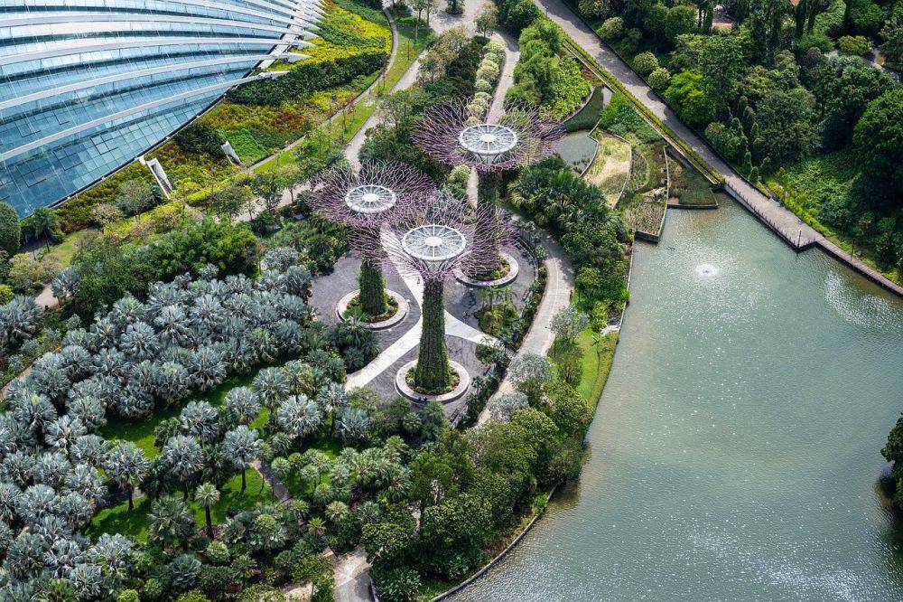 Gardens by The Bay (pixabay.com/xiSerge)