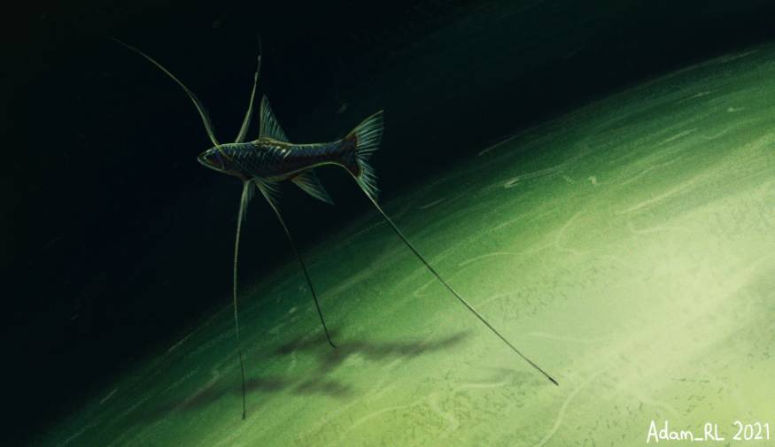 Ilustrasi ikan tripod (twitter.com/adam_rl_art)
