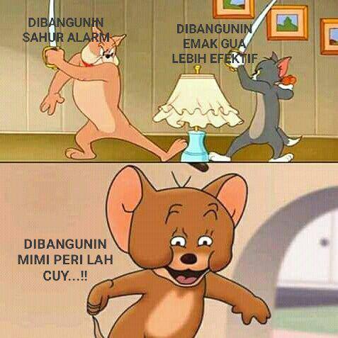 meme Jerry lihat Tom dan Spike debat (dok. pribadi/Iip Afifullah)
