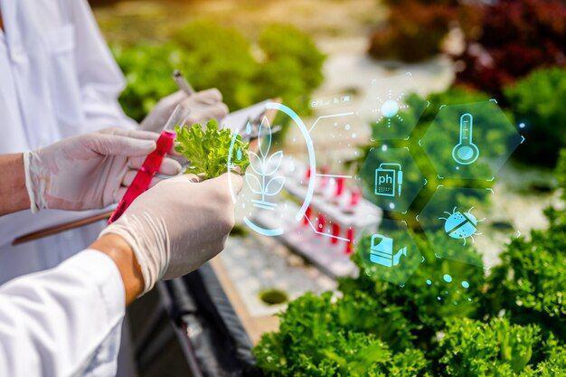 5 Contoh Bioteknologi Konvensional dalam Kehidupan Sehari-hari