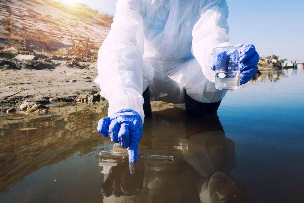 ilustrasi proses bioremediasi laut (Freepik.com/aleksandarlittlewolf)