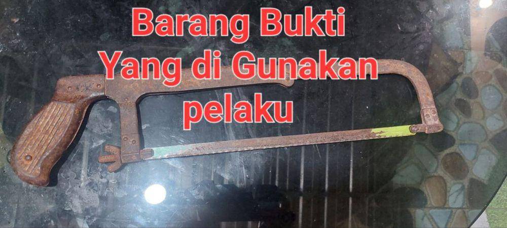 Gergaji yang dipakai pelaku mengancam korban/Istimewa