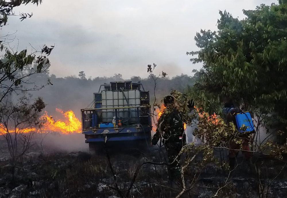 301 Hektare Hutan Konservasi Taman Nasional Way Kambas Terbakar