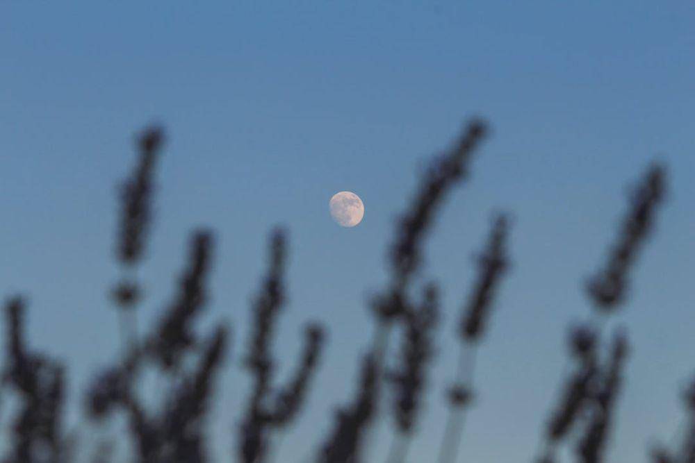 ilustrasi gerhana bulan (unsplash.com/Kadir Akman)
