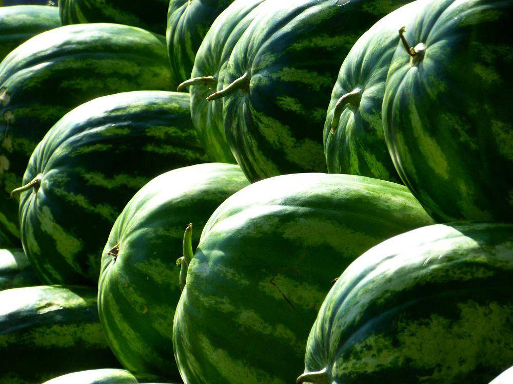 ilustrasi buah semangka(pexels.com/Pixabay)
