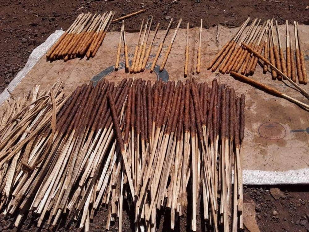 Dila jojor saat proses dikeringkan (Facebook/Sukarnawdi)