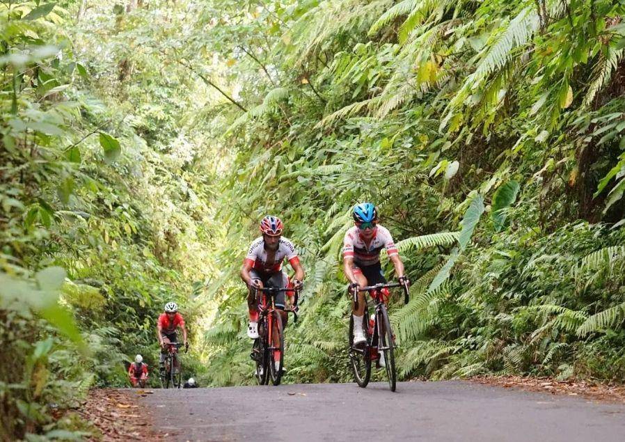 Kejuaraan balap sepeda dunia International Banyuwangi Tour de Ijen di Banyuwangi, Jatim (dok. Pemkab Banyuwangi)