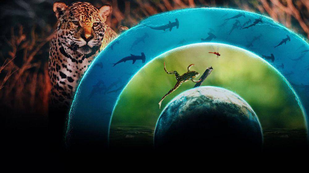 Our Living World (dok. Netflix/Our Living World)