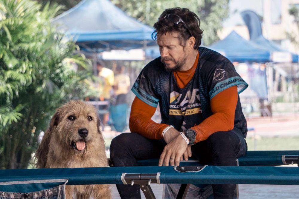 5 Film Olahraga yang Dibintangi Mark Wahlberg, Ada Arthur the King