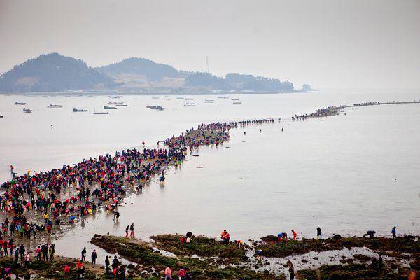 Jindo Sea Parting Festival (id.pinterest.com/National Geographic)