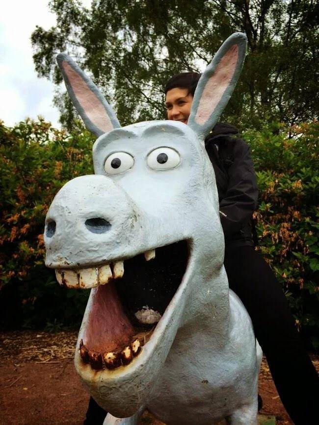 potret objek karakter Donkey paling kocak (reddit.com/user/sadclown12321)