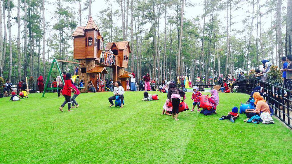 Kemit Forest Cilacap (instagram.com/karsun_bl)
