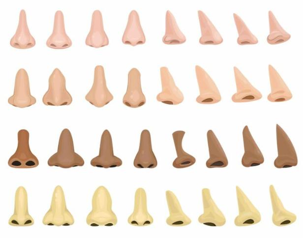 [QUIZ] Dari Bentuk Hidung, Ini Kepribadianmu yang Sebenarnya