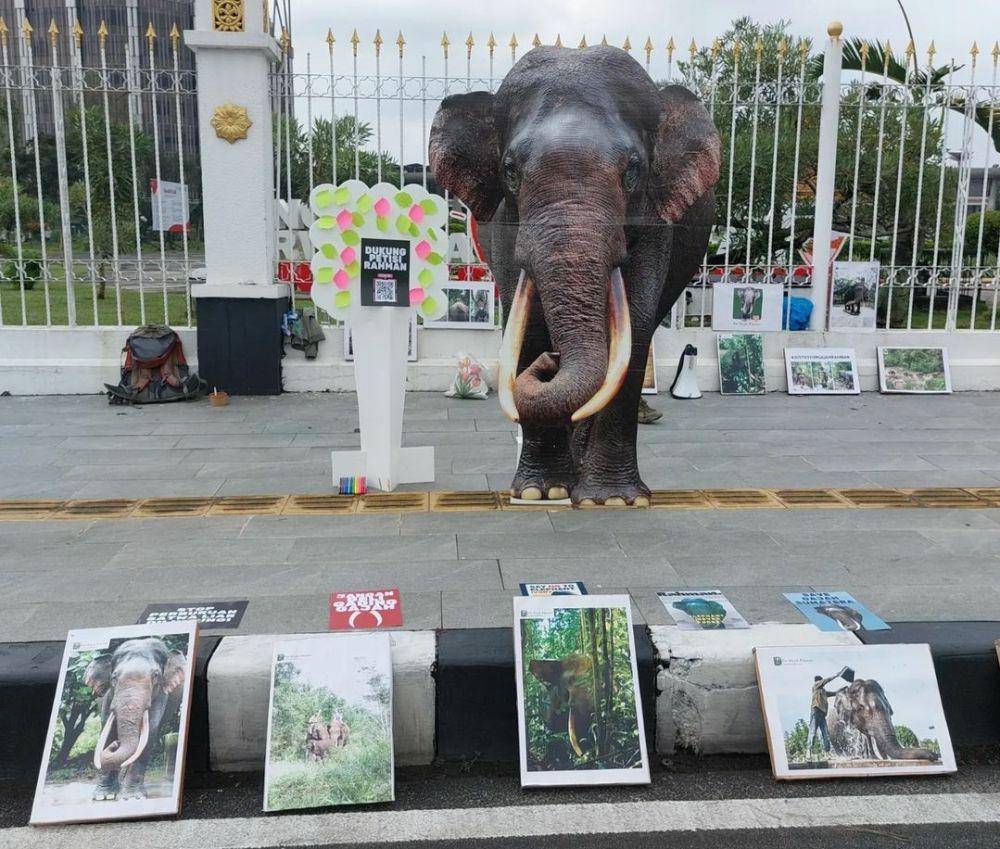 Replika gajah Rahman ditampilkan oleh Komunitas For Gajah Rahman Dalam aksi damai di Car Free Day Kota Pekanbaru (IDN Times/ IG forgajahrahman)