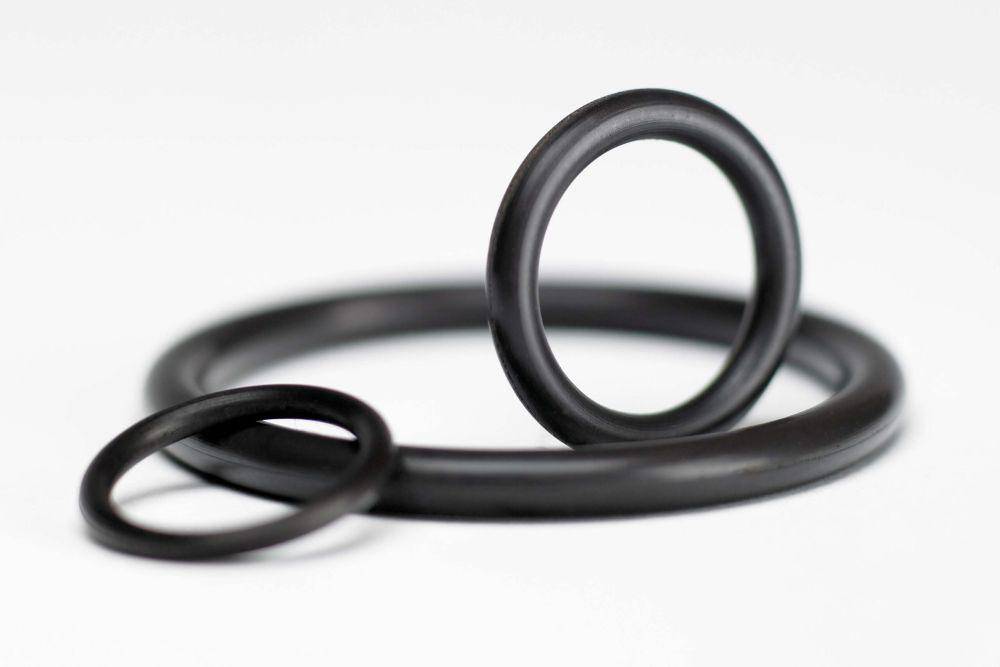 ilustrasi seal karet atau o-ring (global-seals.com)