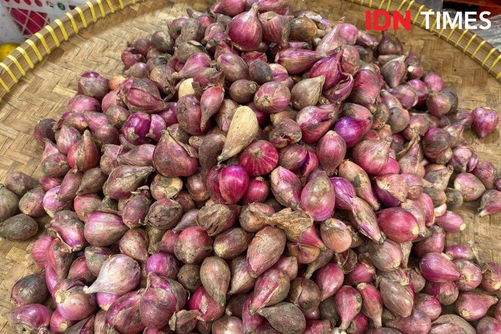 ilustrasi bawang merah. (IDN Times/Vadhia Lidyana)