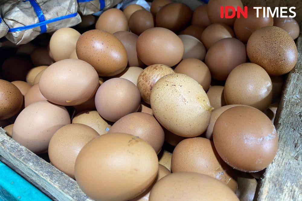 ilustrasi telur ayam negeri. (IDN Times/Vadhia Lidyana)