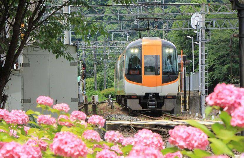 potret Kereta Kintetsu (instagram.com/nara_mie_kintetsu_trip
