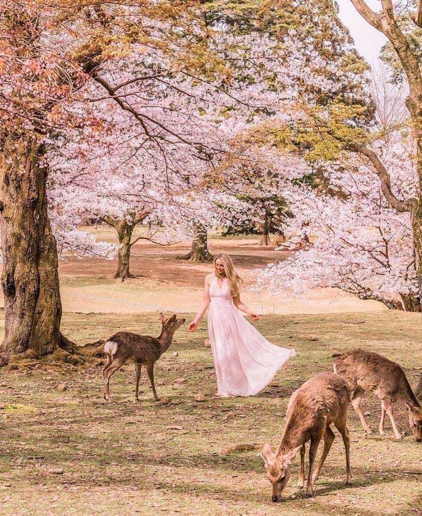 potret Nara Park (instagram.com/limitlesssecret)