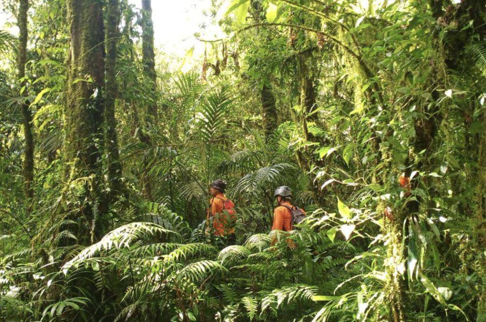 Tim SAR melakukan pencarian orang hilang di gunung (Dok.IDN Times/istimewa)
