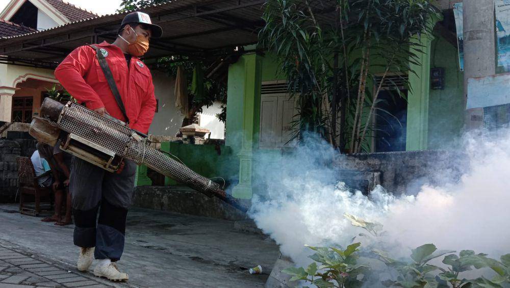 Petugas lakukan foging di lokasi temuan kasus DB. IDN Times/ istimewa
