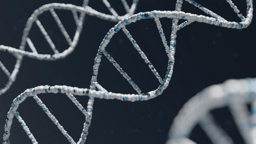 5 Fakta Seputar DNA Manusia, Bisa Mengalami Kerusakan!