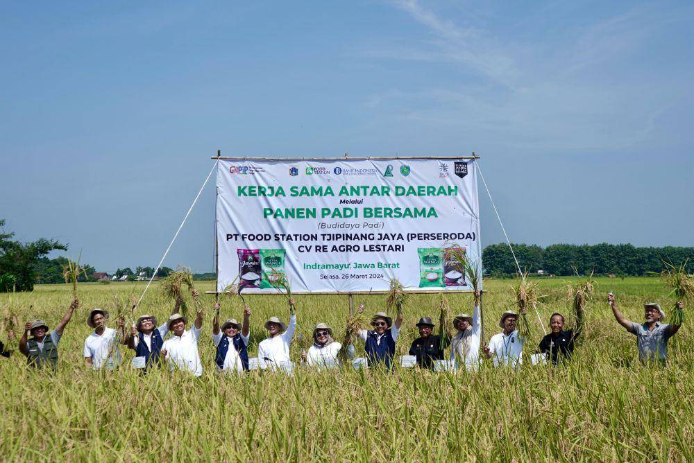 Panen bersama hasil kolaborasi antara Pemerintah Provinsi DKI Jakarta dengan Pemerintah Kabupaten Indramayu. (Dok/Humas)