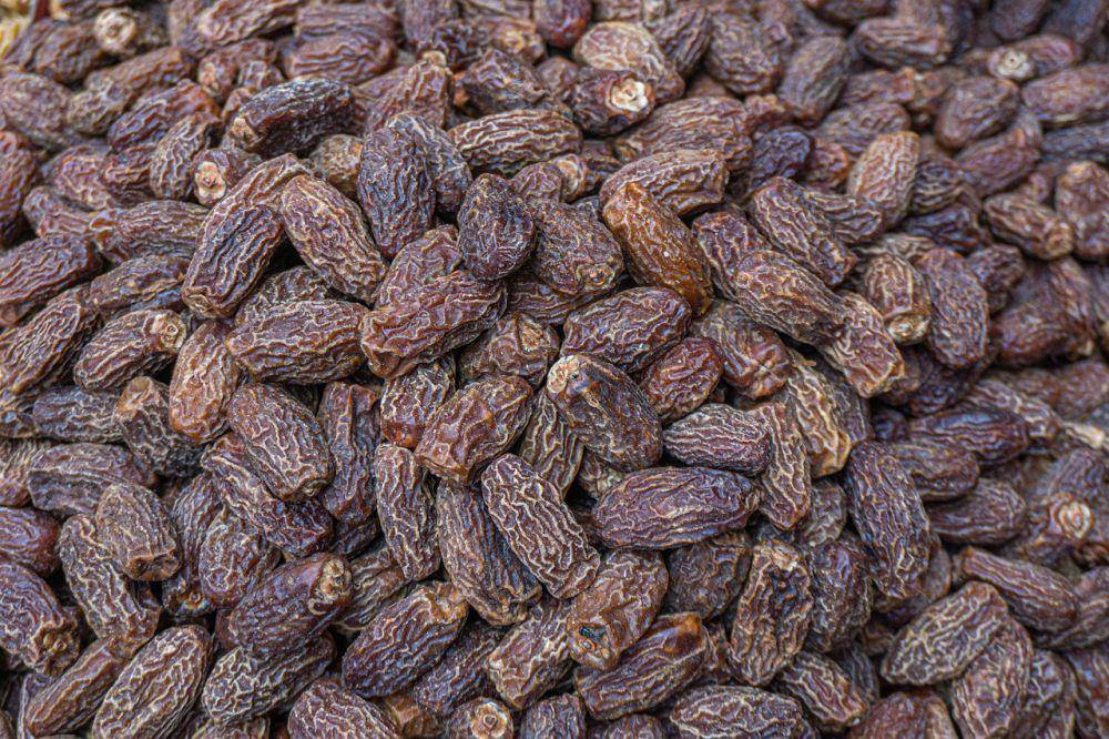 ilustrasi kurma (pixabay.com/mipavelk)