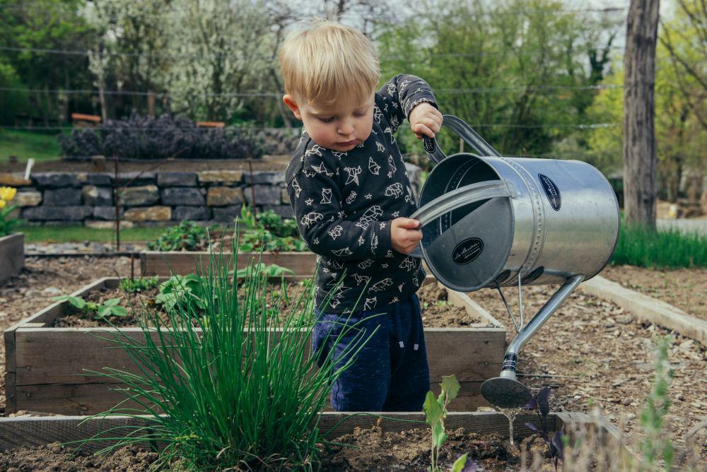 5 Keuntungan Menanam di Raised Bed, Anti Kebanjiran