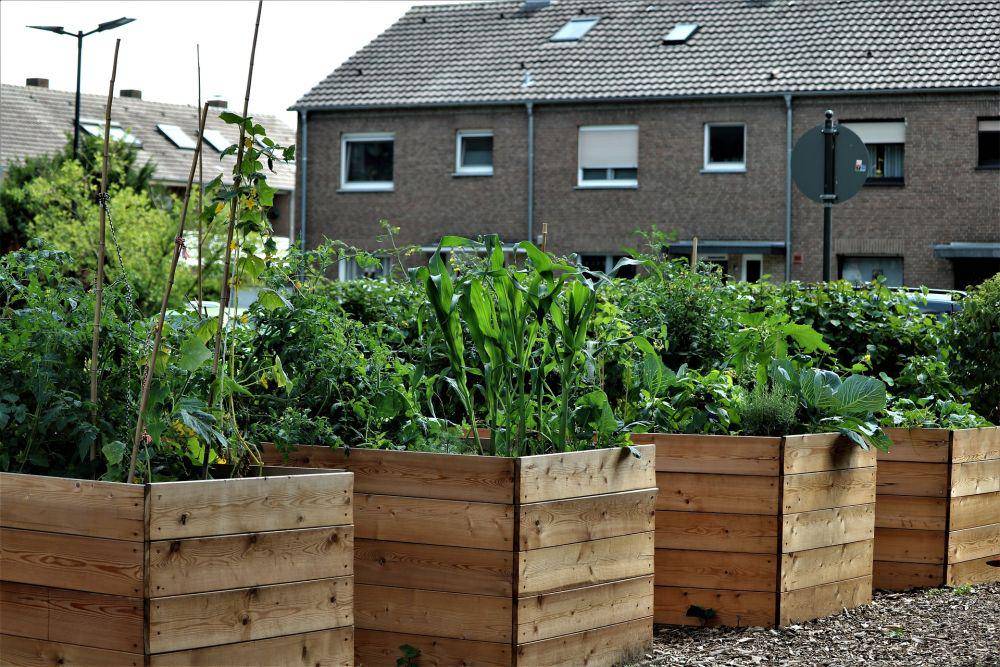 ilustrasi raised bed (pixabay.com/caniceus)