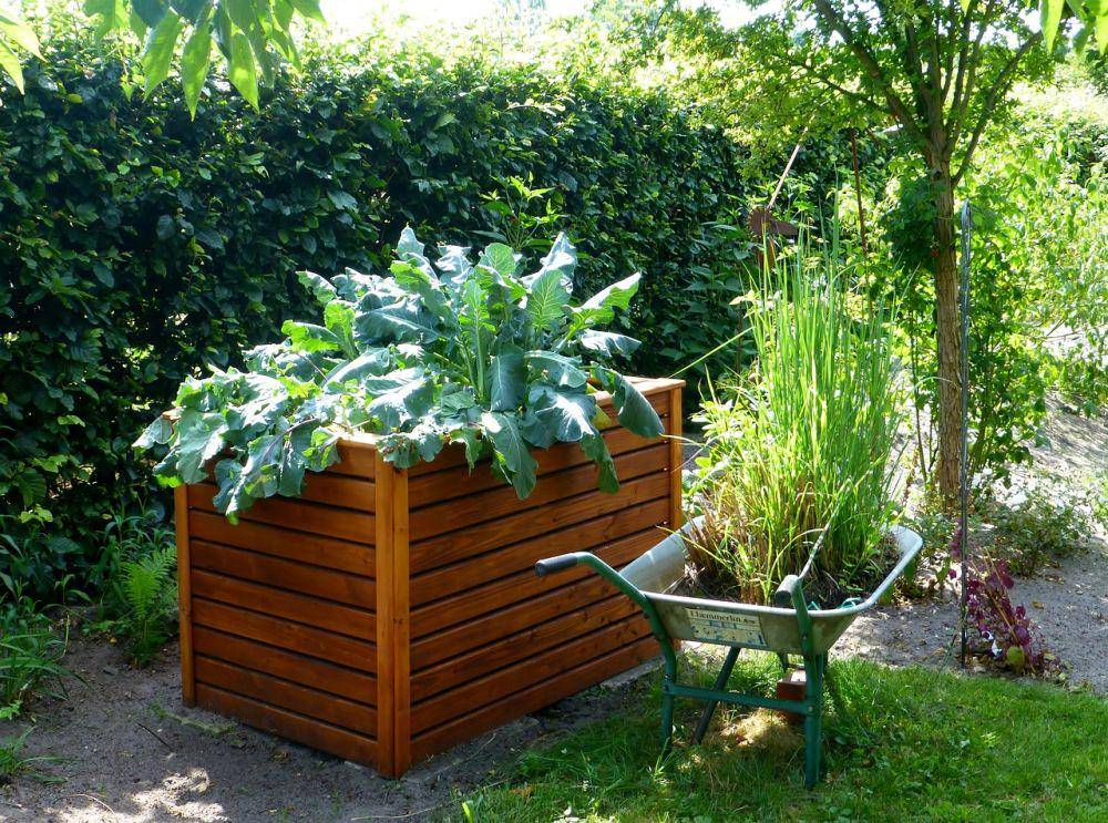 ilustrasi raised bed (pixabay.com/counselling)