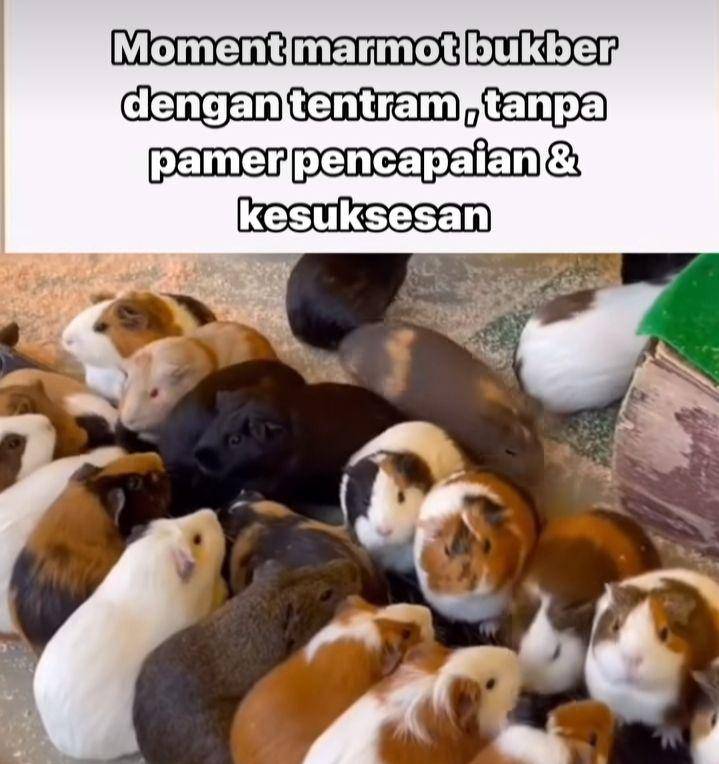 meme bukber beda konsep (instagram.com/sisujeng_)